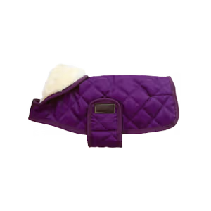 Kentucky Dog Coat Original