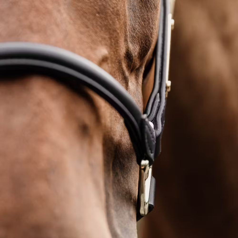 Kentucky Horsewear Anatomic Leather Halter