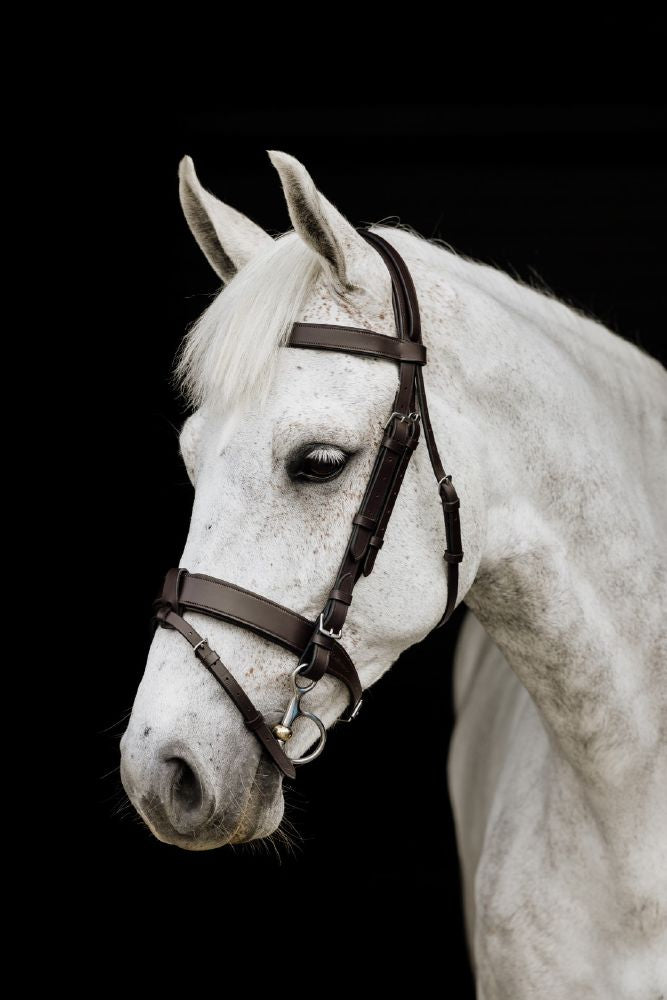 Platinum Wide Padded Hunt Bridle