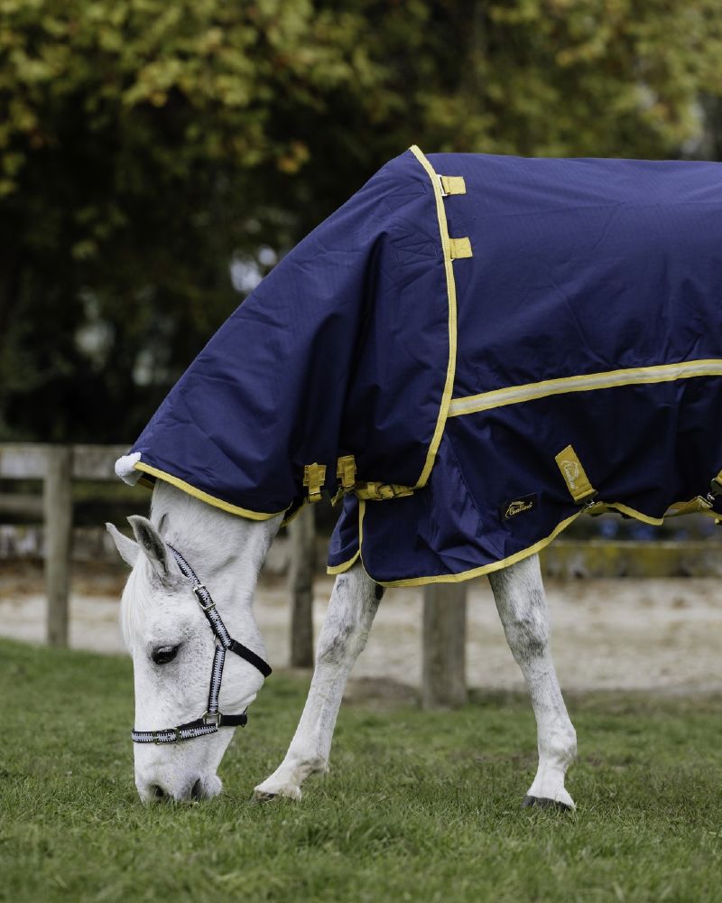 Cavallino Northampton Detach A Neck 50gm