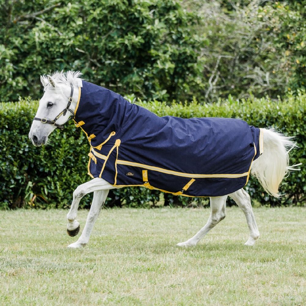 Cavallino Northampton Combo 300gm