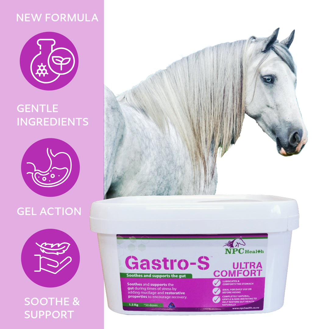 Gastro S | Natural & Gentle for sensitive stomachs