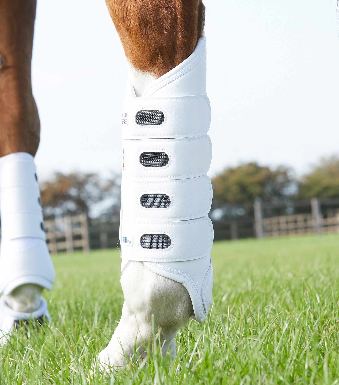 PE Carbon Tech Air Cooled Eventing Boots Hind