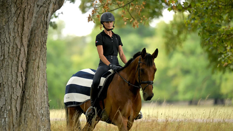 Horse Exercise Sheets