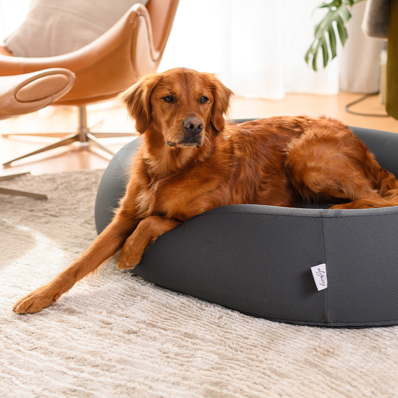 Brooklyn® Nest Dog Bed (Orthopaedic Memory Foam)