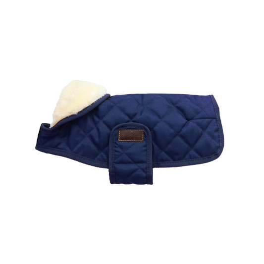 Kentucky Dog Coat Original