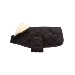Kentucky Dog Coat Original