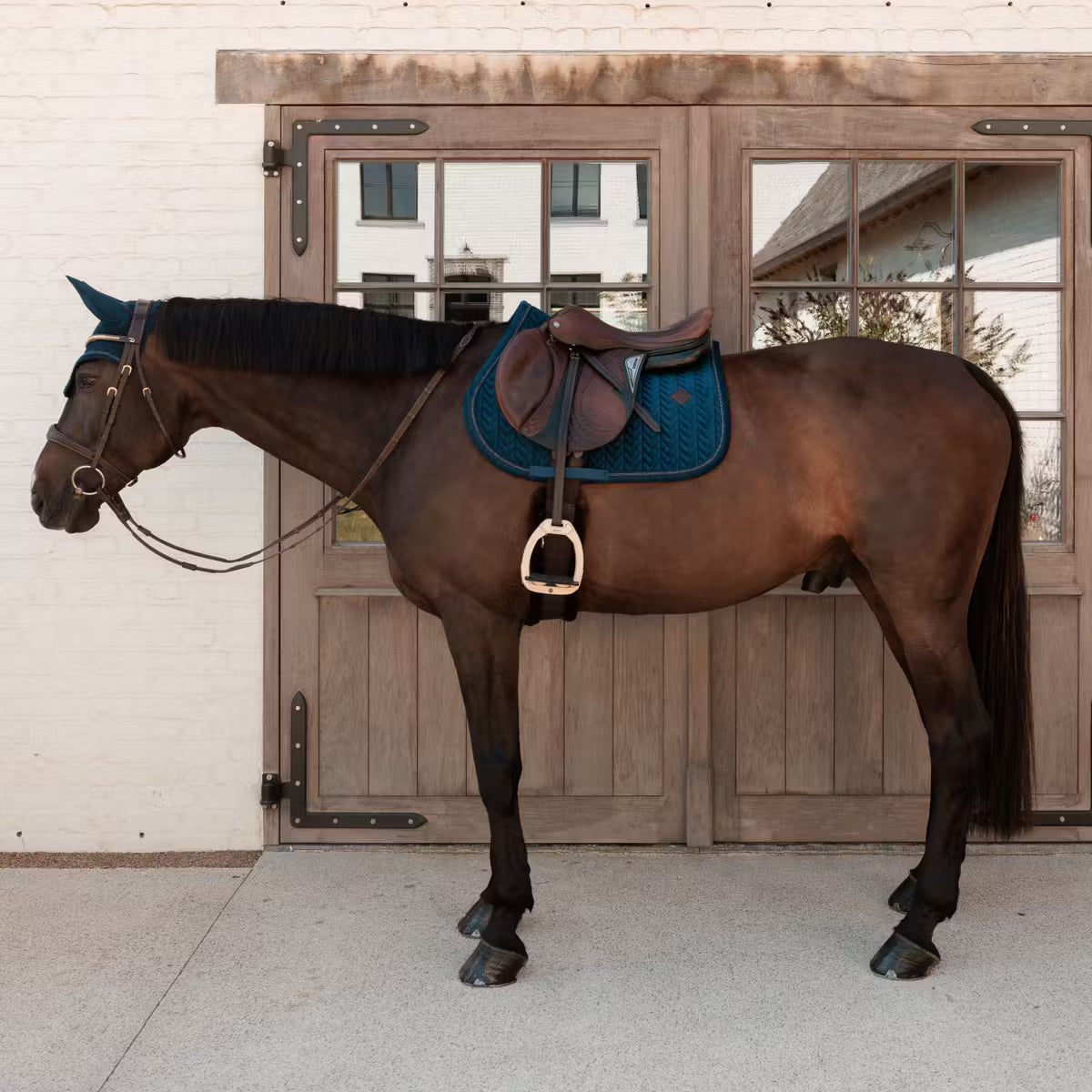 Kentucky Horsewear Saddle Pad Velvet Mini Pearls Jumping
