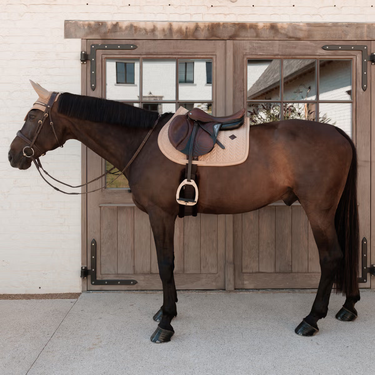 Kentucky Horsewear Saddle Pad Velvet Mini Pearls Jumping