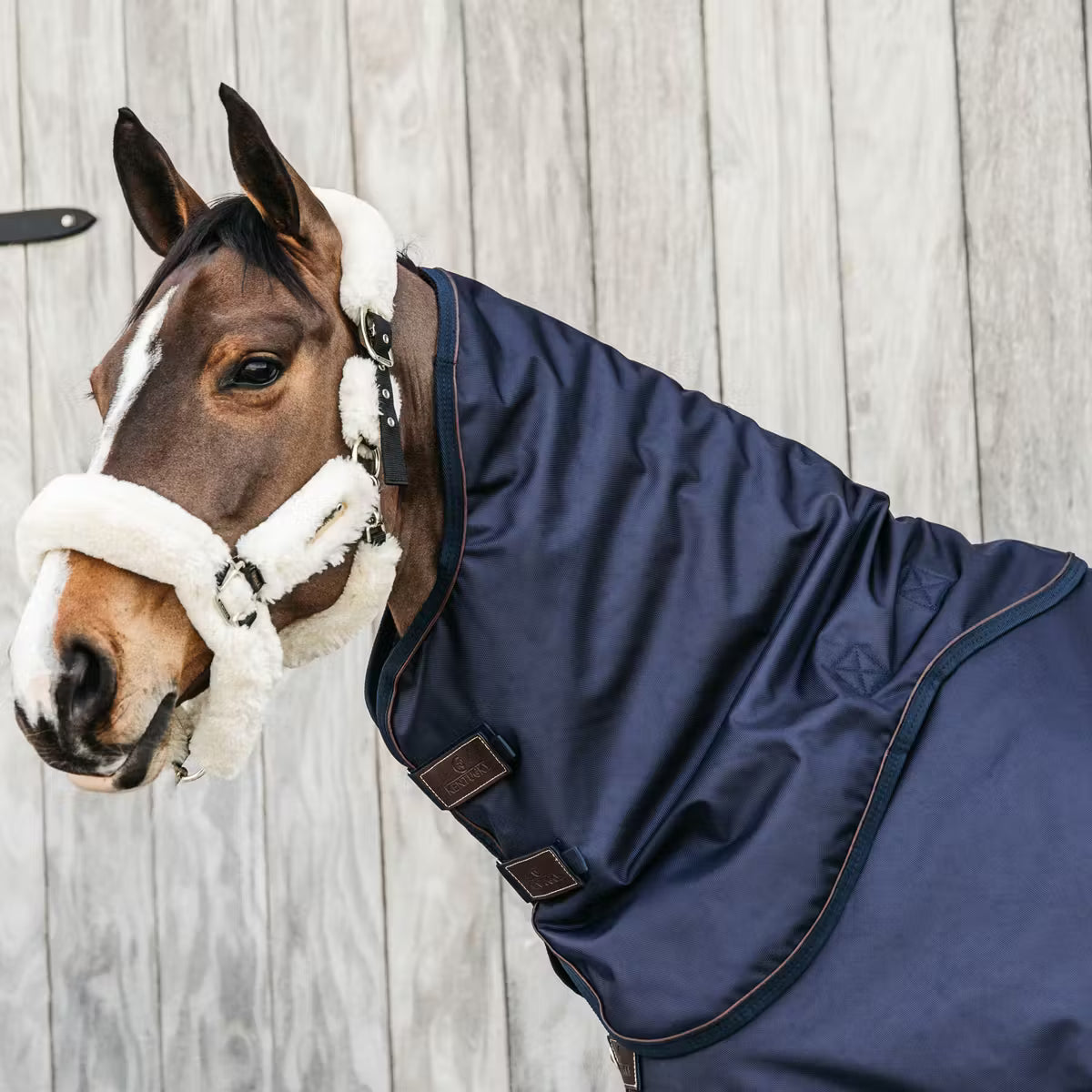 Kentucky Neck All Weather Waterproof Pro