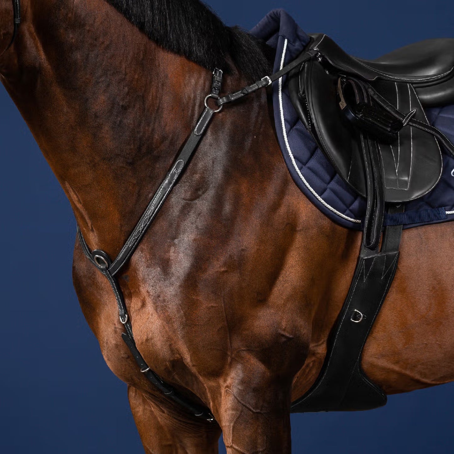 Dyon Bridge Breastplate