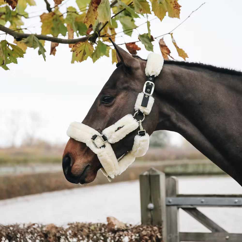 Kentucky Horsewear Sheepskin Shipping Halter