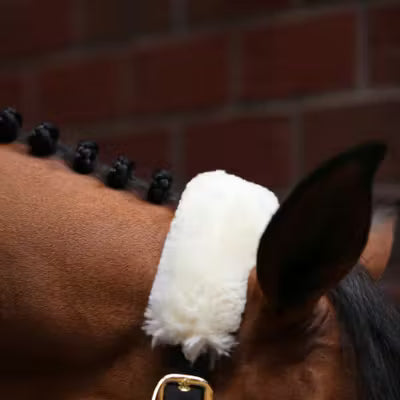 Kentucky Horsewear Sheepskin Shipping Halter