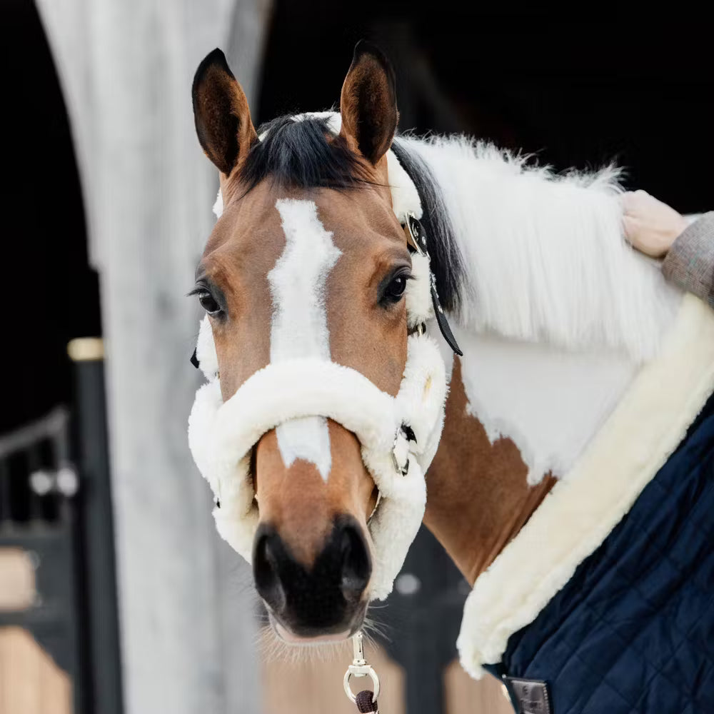 Kentucky Horsewear Sheepskin Shipping Halter