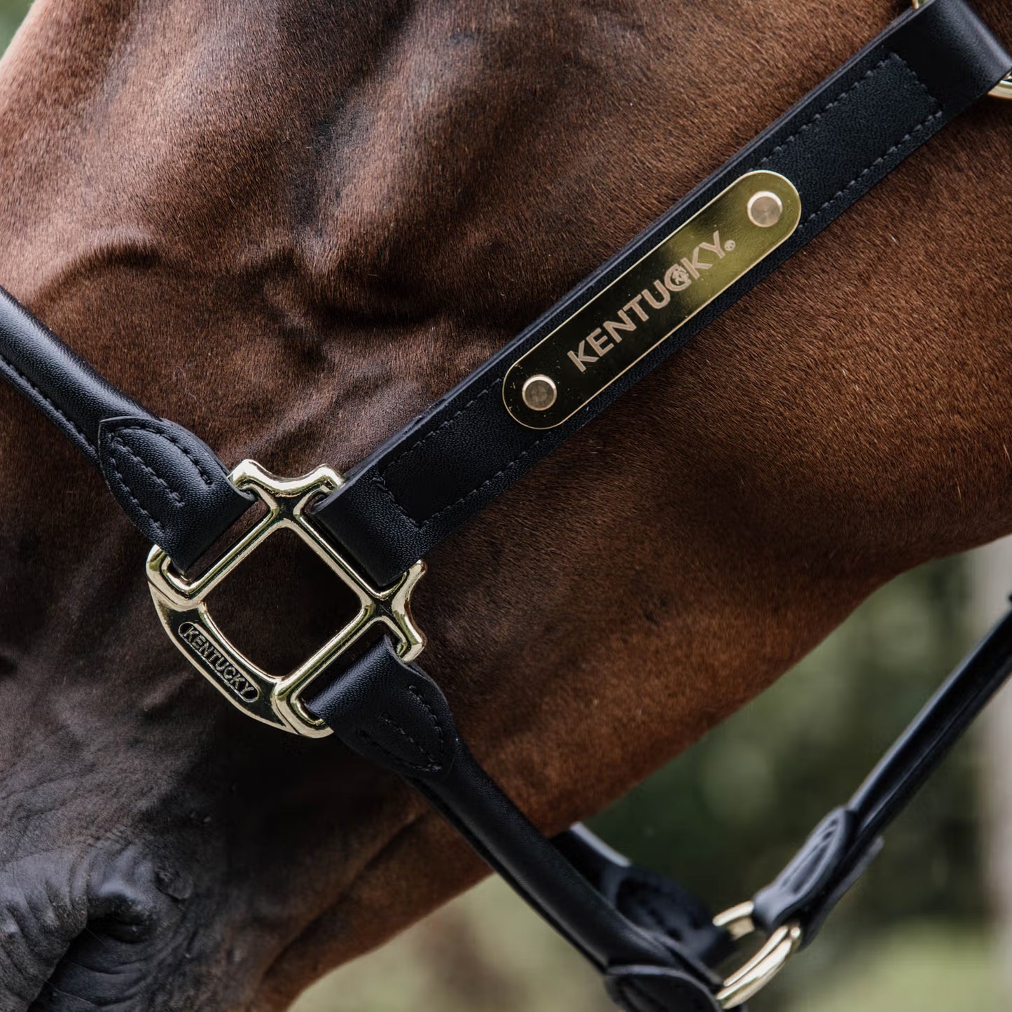 Kentucky Horsewear Anatomic Leather Halter