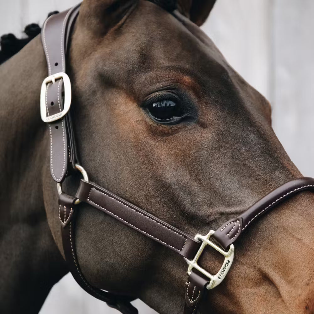 Kentucky Horsewear Anatomic Leather Halter