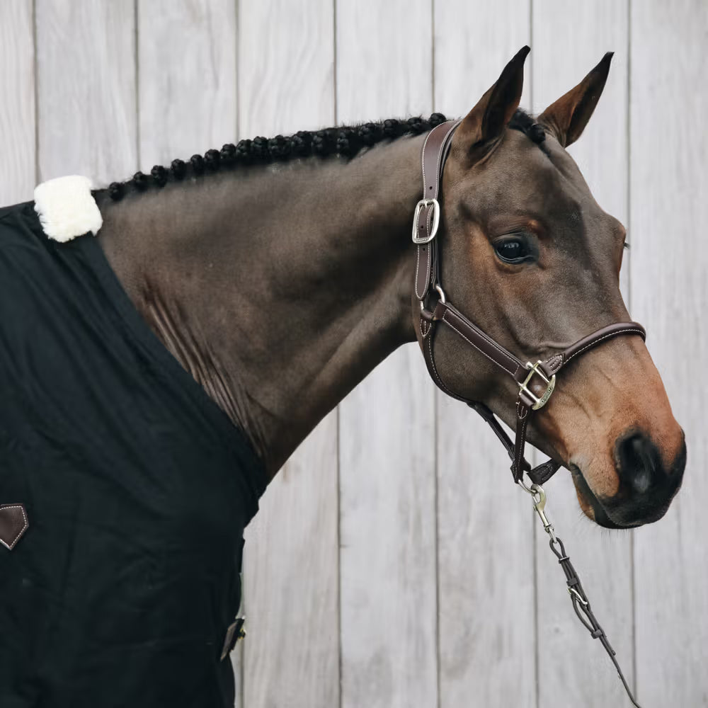 Kentucky Horsewear Anatomic Leather Halter