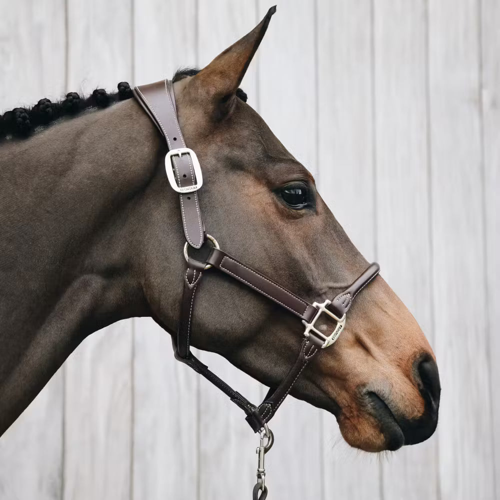 Kentucky Horsewear Anatomic Leather Halter