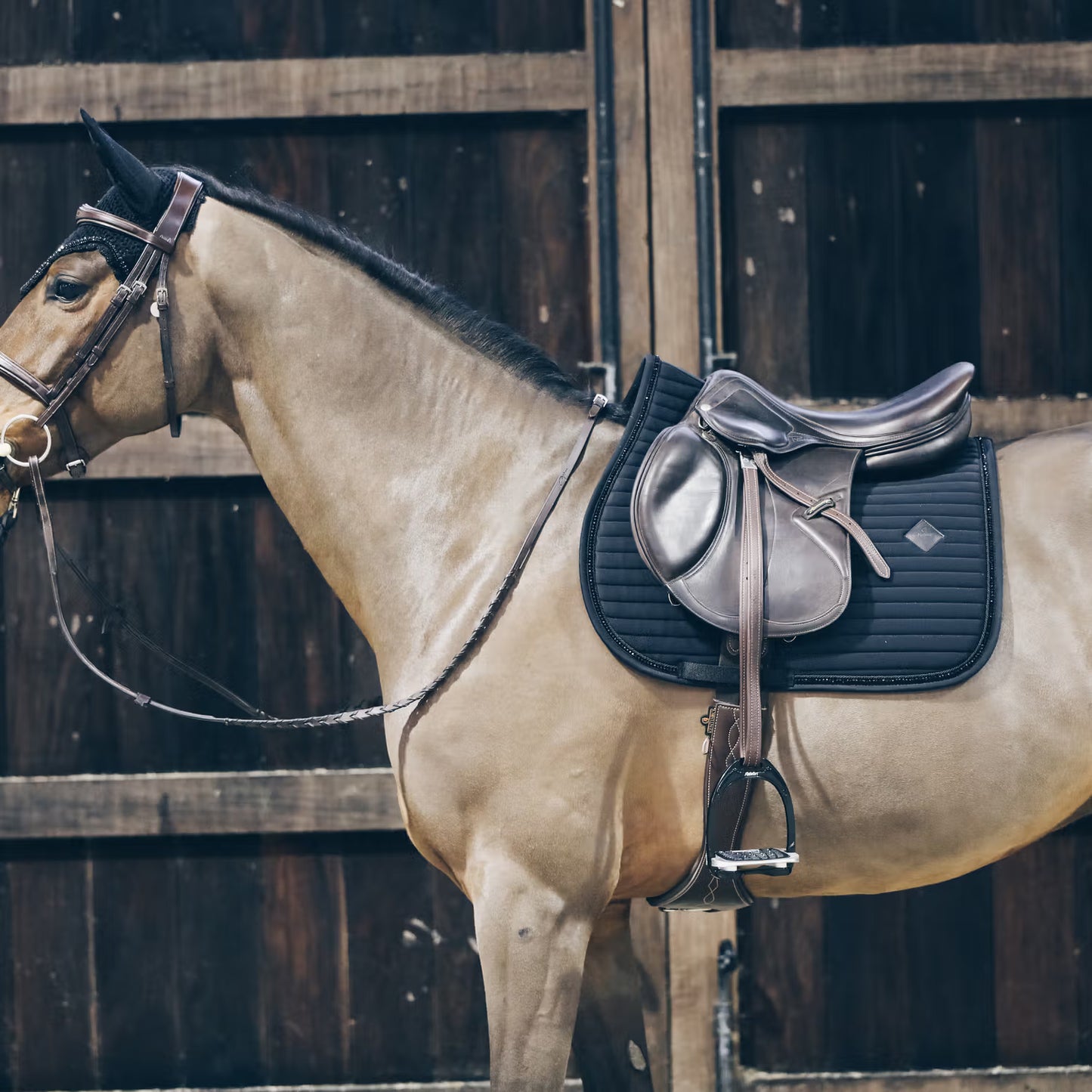 Kentucky Saddle Pad Pearls Jumping