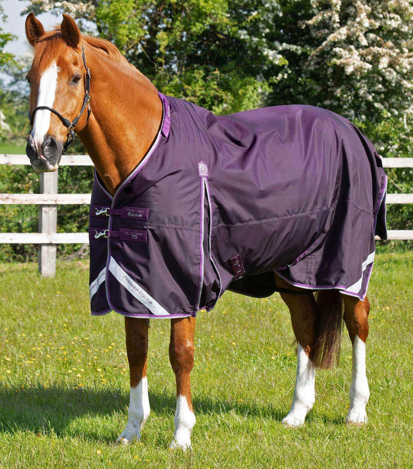 Buster 70g Turnout Rug with Classic Neck Cover