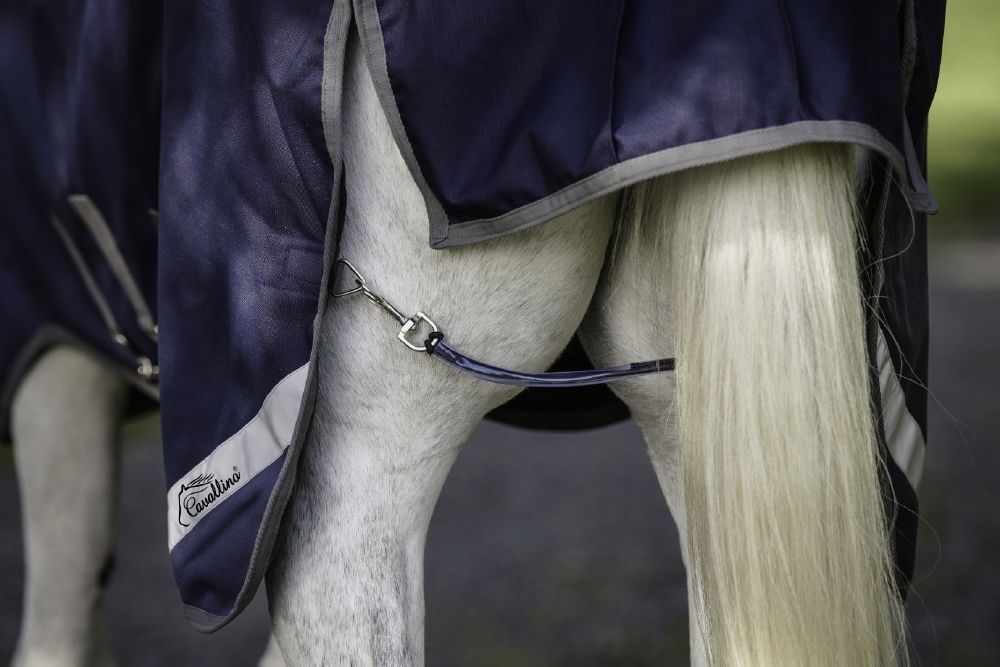 Cavallino Gen 4 Detach A Neck 50gm