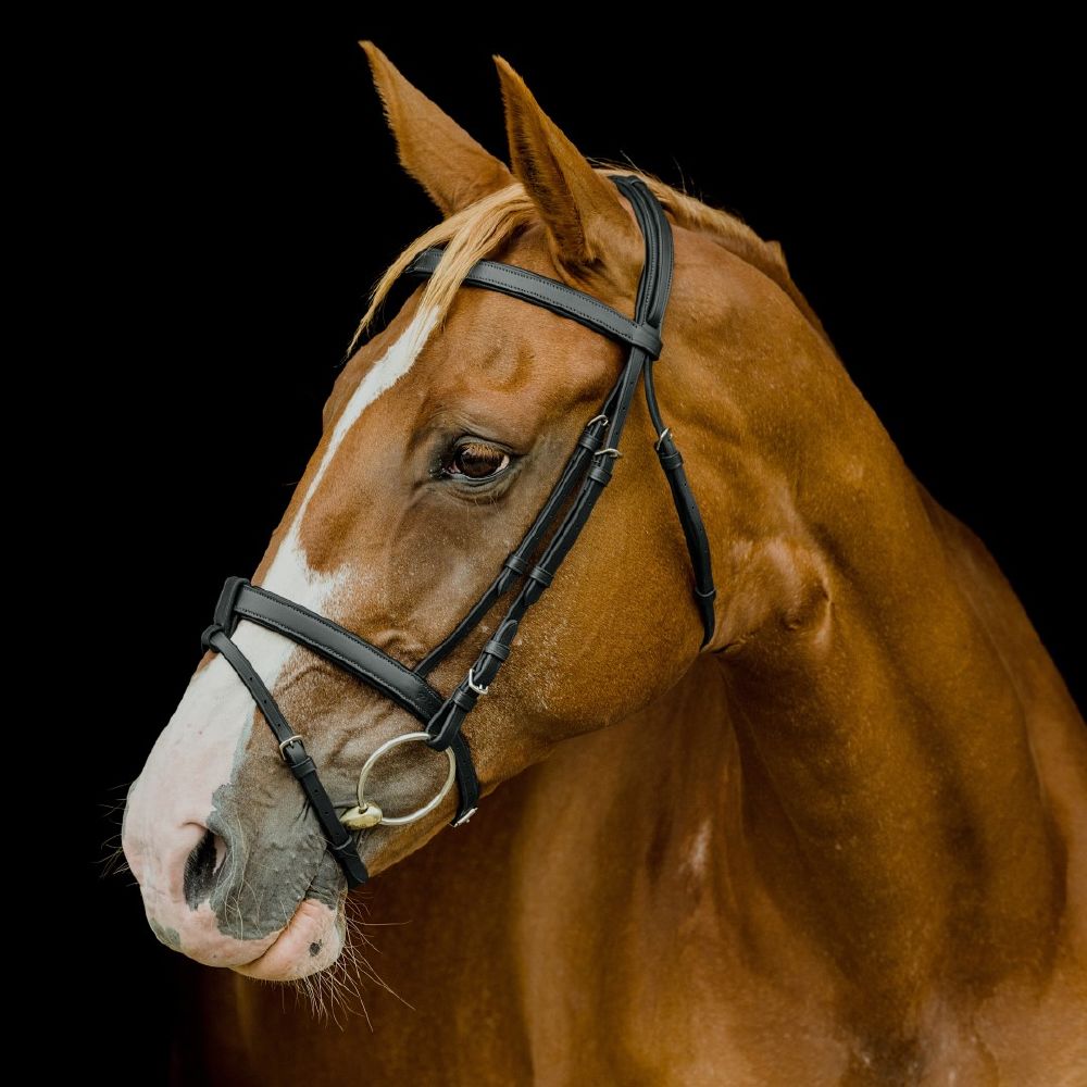 Platinum Flat Padded Hanoverian Bridles
