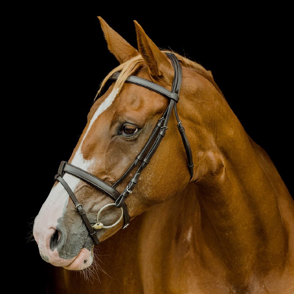 Platinum Flat Padded Hanoverian Bridles