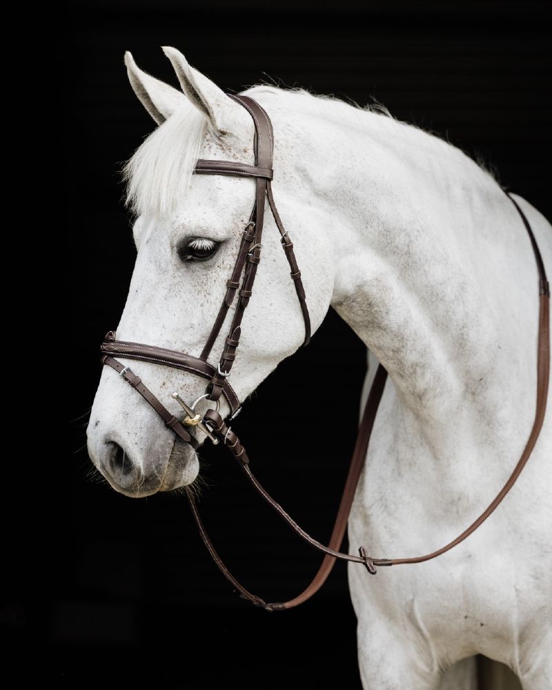 Cavallino Mclean Anatomic Bridle