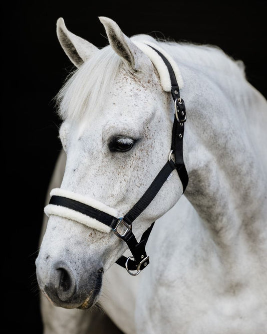 Flair Plush Halter