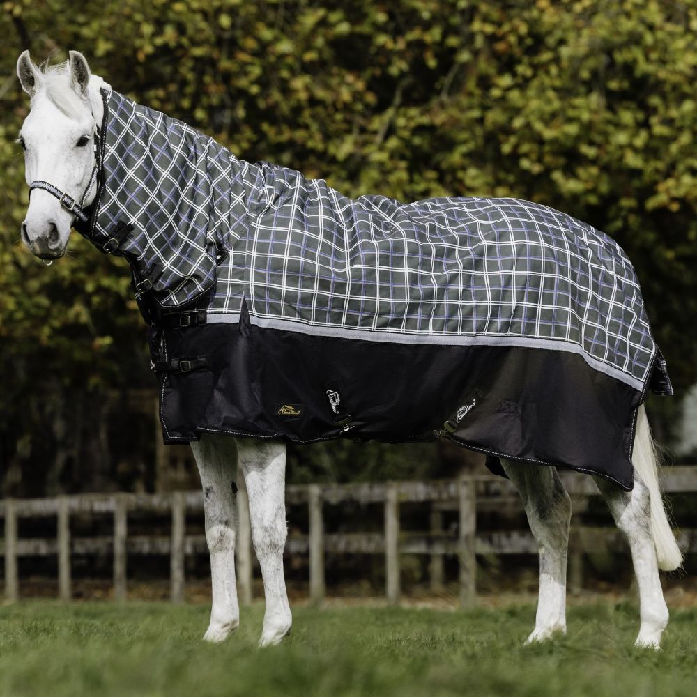 Cavallino Badminton Combo 300gm