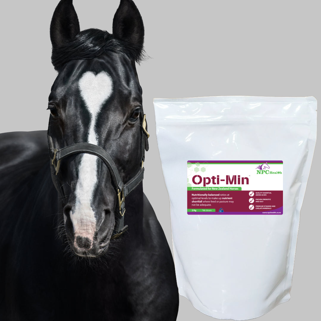 NPC Opti-Min | Best Horse minerals | Vitamins