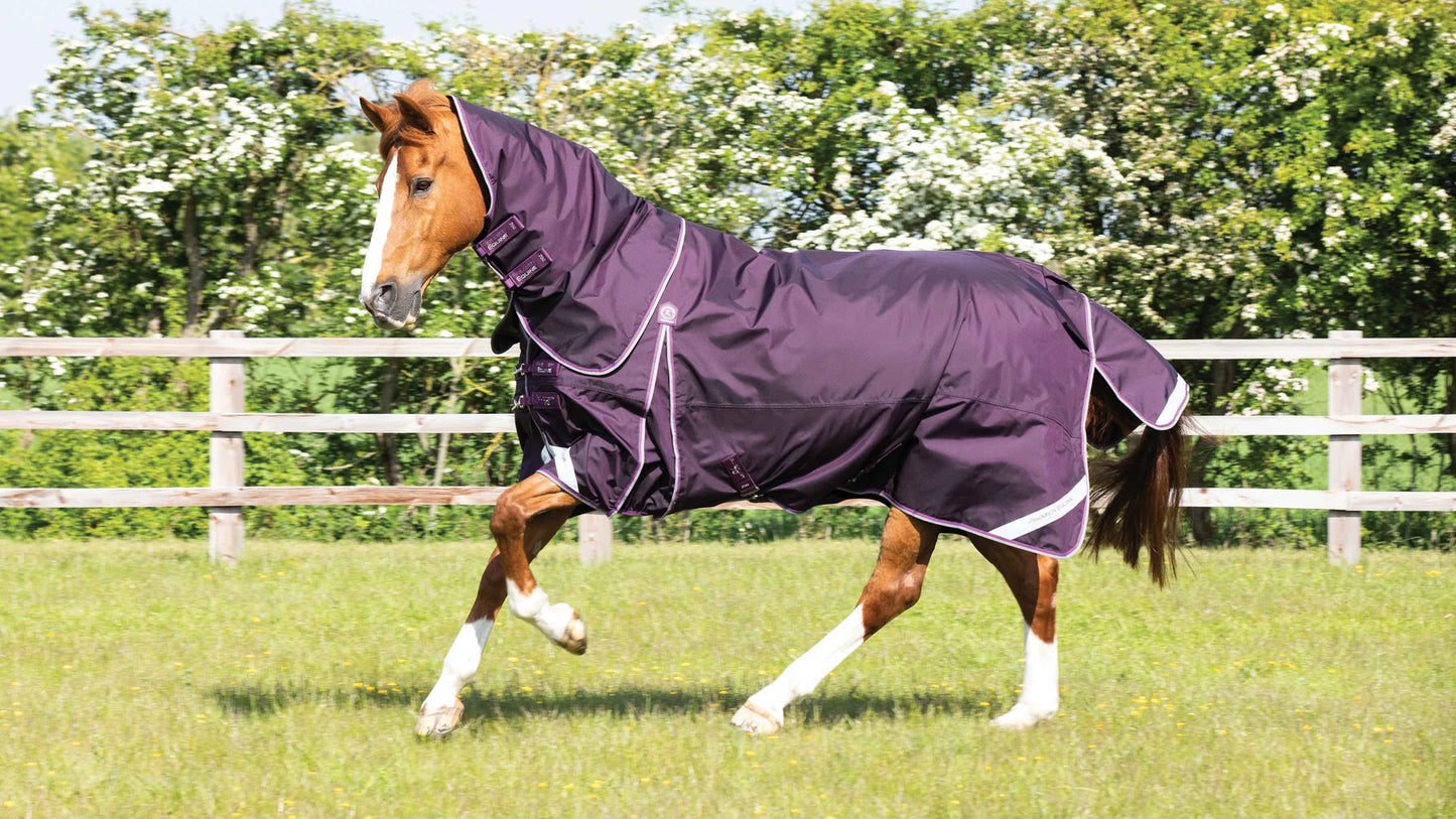 Buster 70g Turnout Rug with Classic Neck Cover