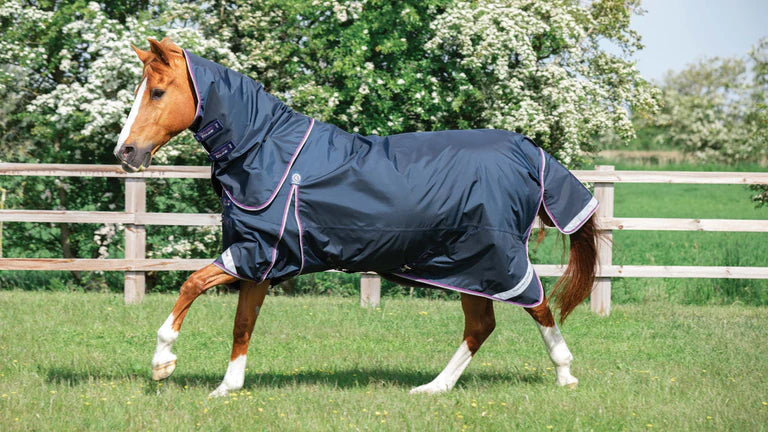 Buster 70g Turnout Rug with Classic Neck Cover