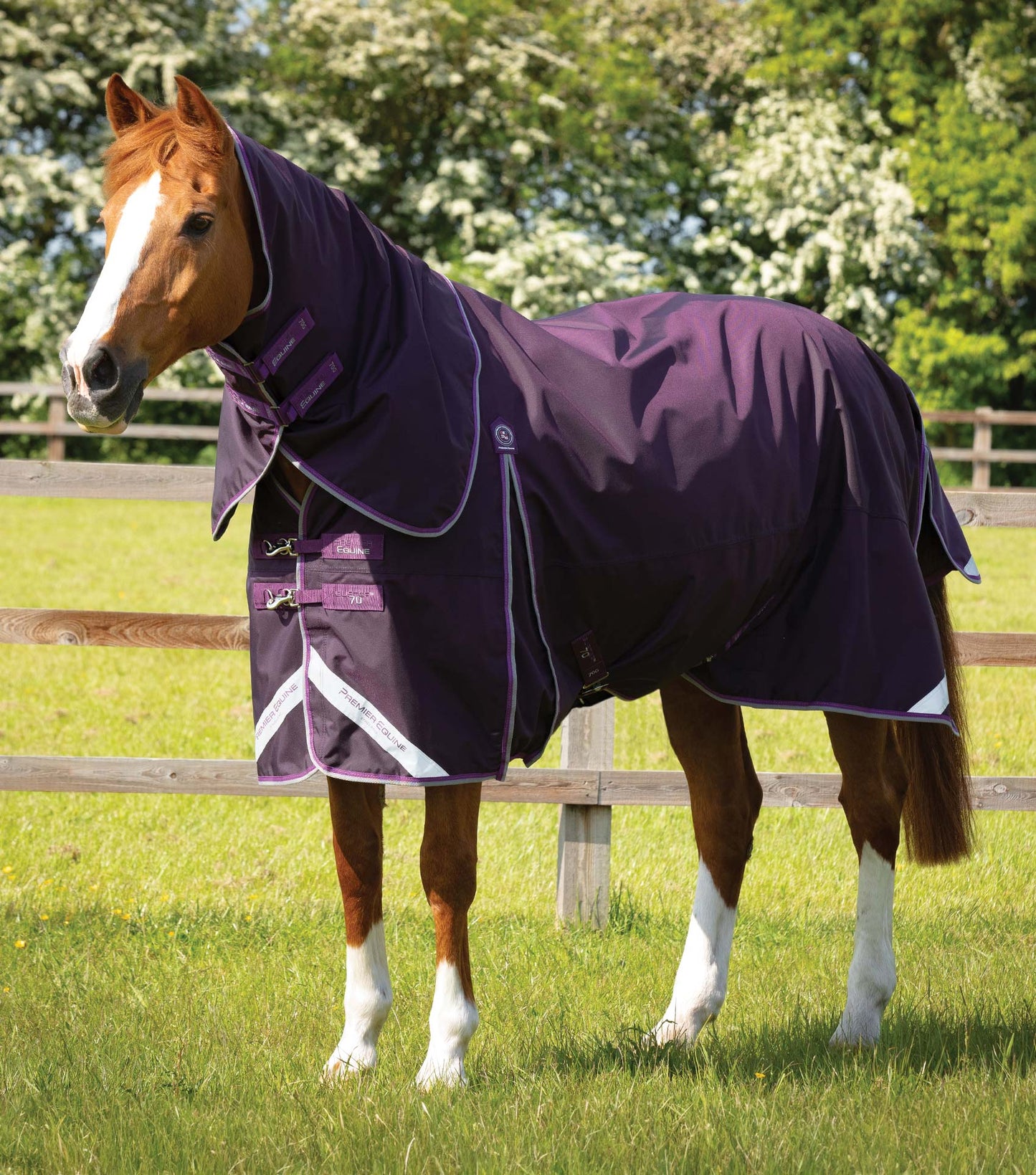 Buster 70g Turnout Rug with Classic Neck Cover
