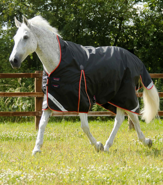 PE Buster Hardy 100g Half Neck Turnout Rug