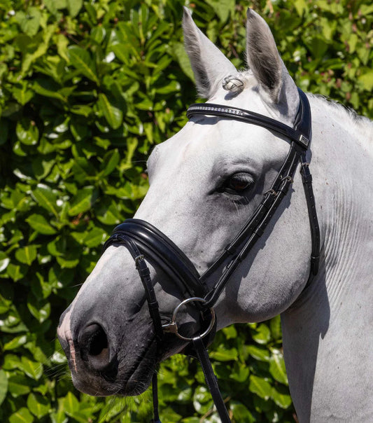 PE Castello Anatomical Bridle