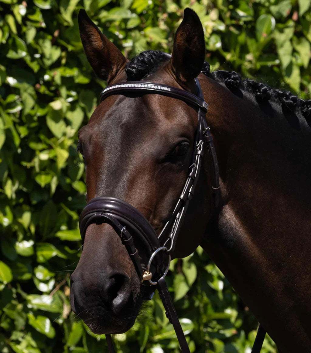 PE Castello Anatomical Bridle