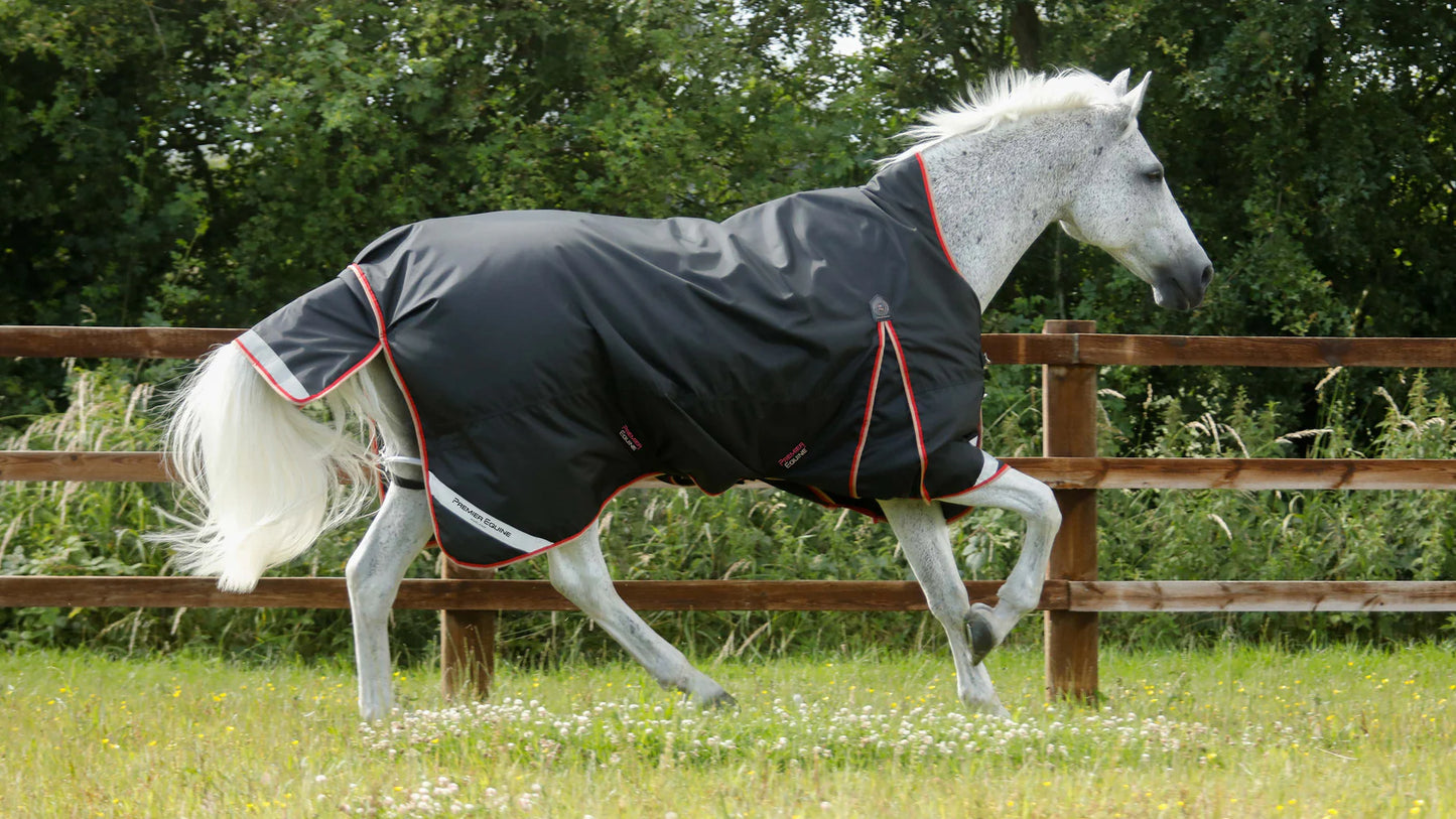 PE Buster Hardy 100g Half Neck Turnout Rug
