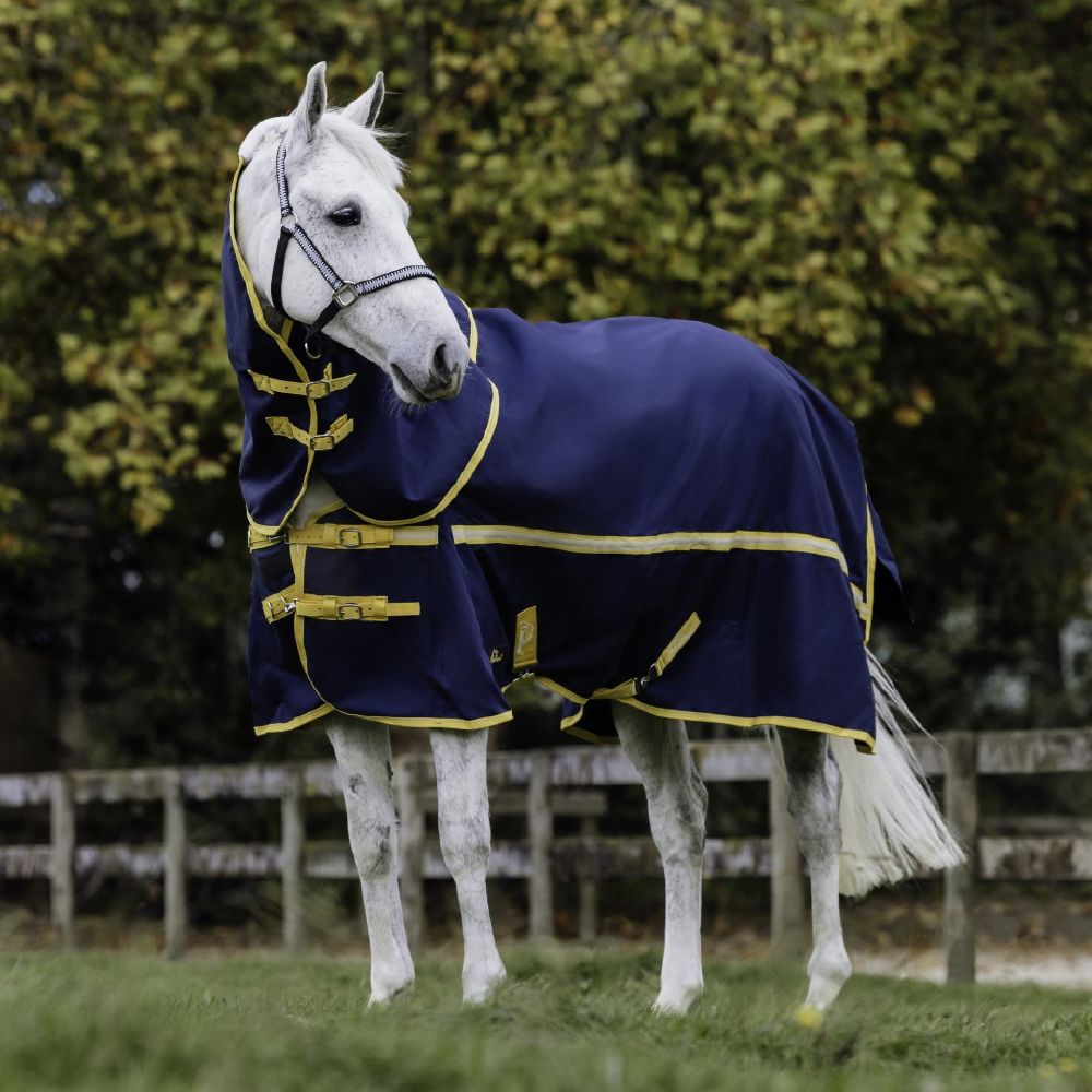 Cavallino Northampton Detach A Neck 100gm