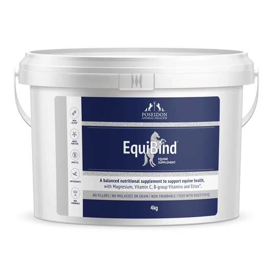 EquiBind