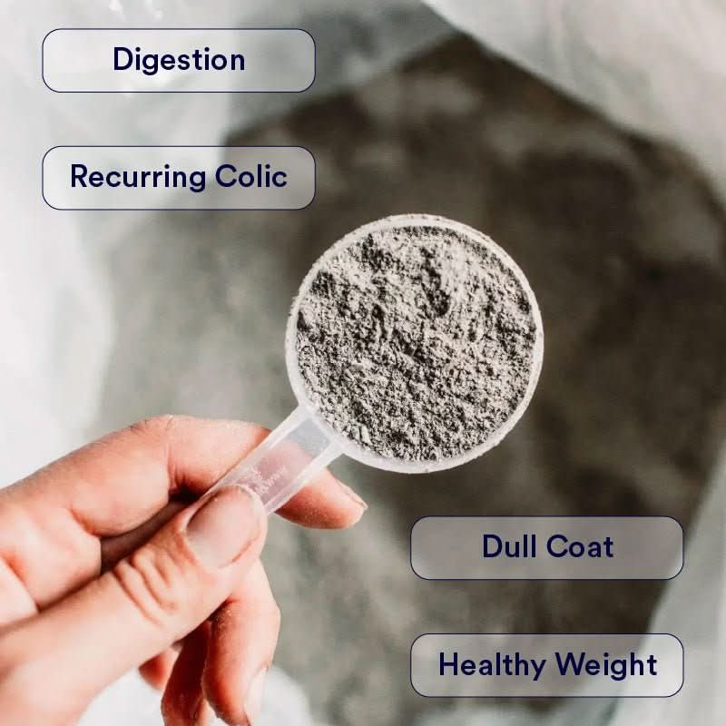 DigestiveEQ