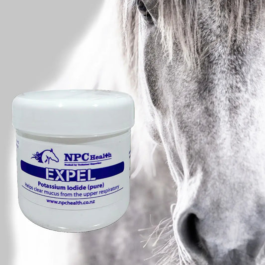NPC Expel | airway supplement for horses
