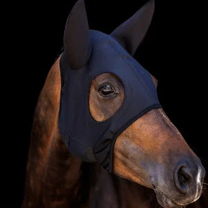 Come Best Titanium Hoods with Ears