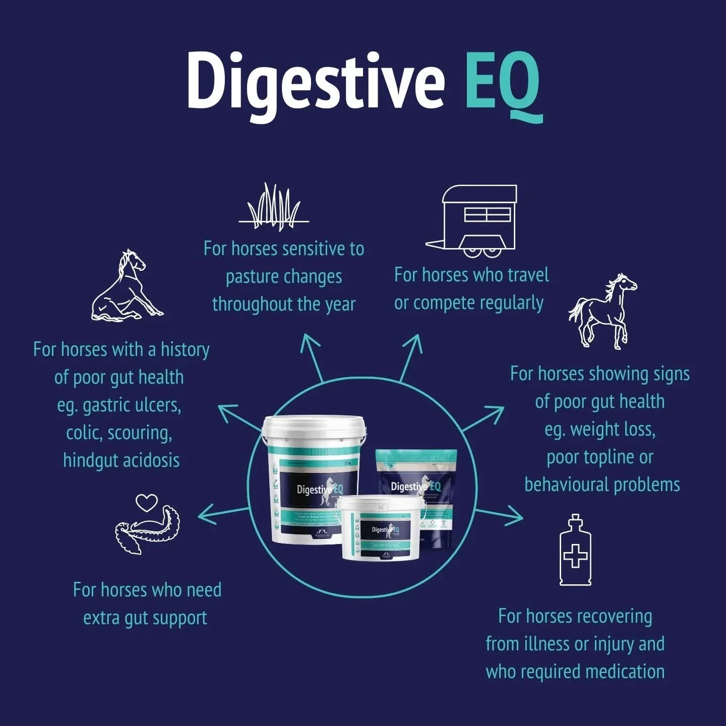 DigestiveEQ