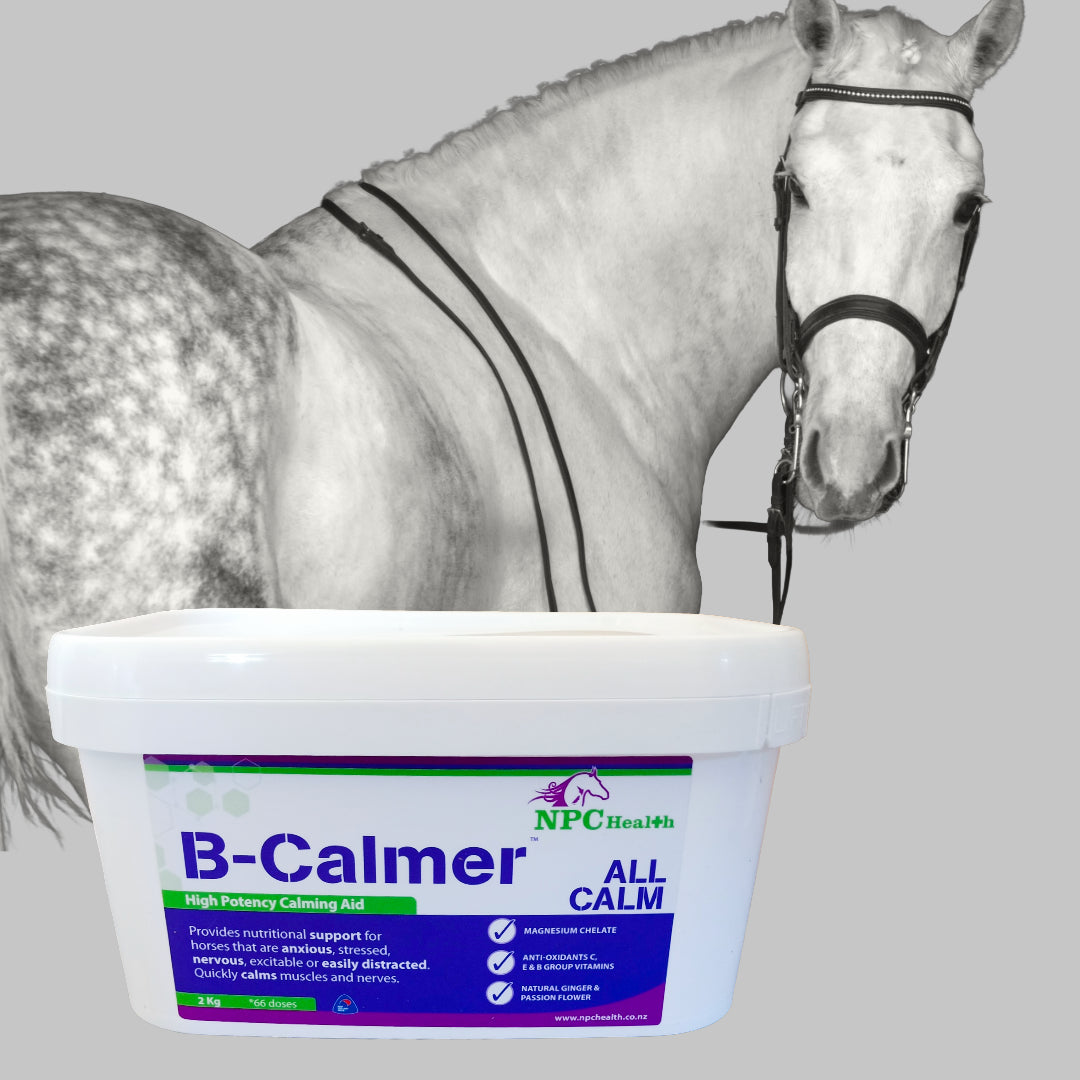 NPC B-Calmer | Calming Supplement for horses