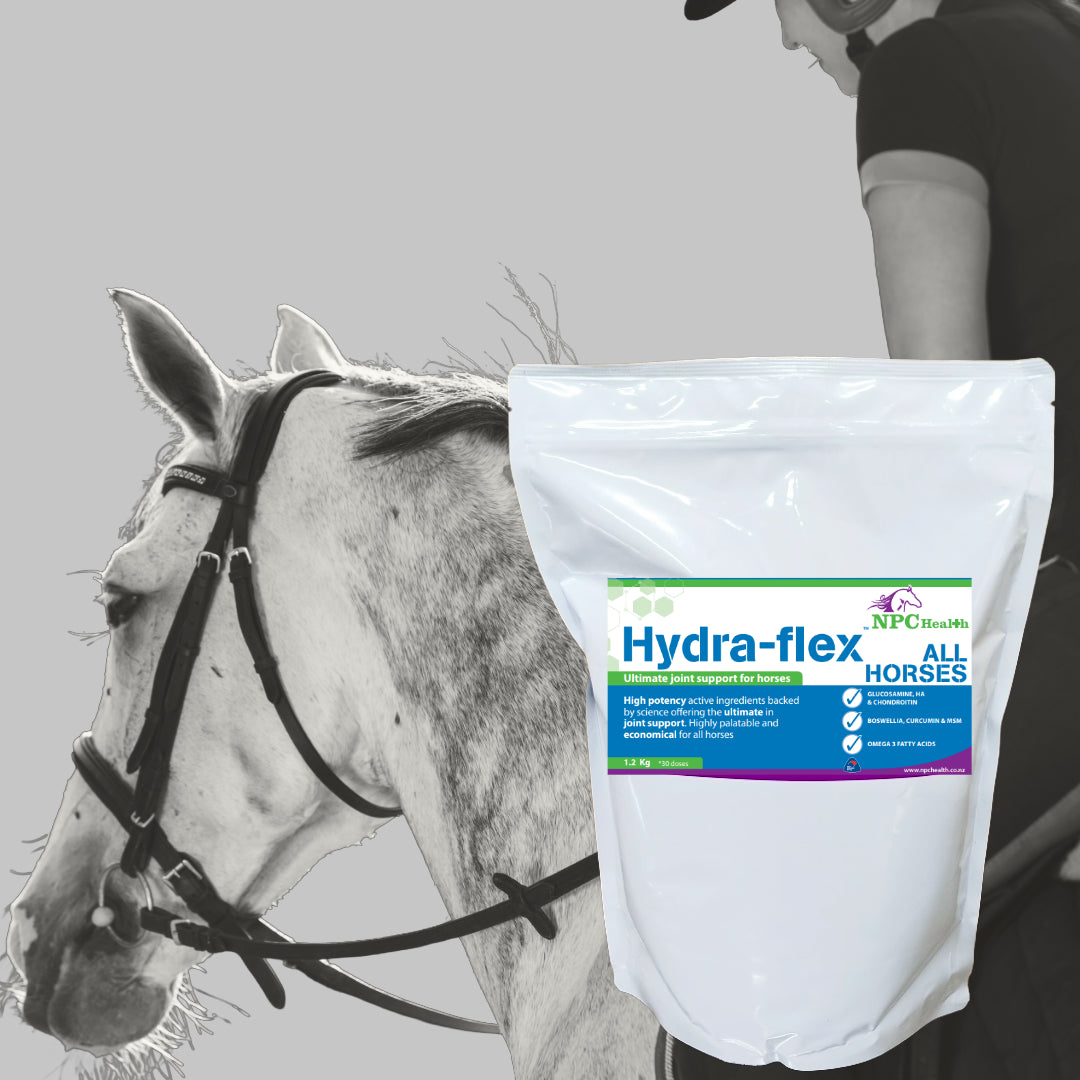 NPC Hydra-flex ALL HORSES | Equine joint supplement