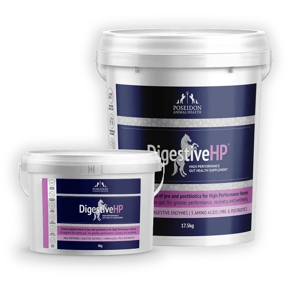 DigestiveHP