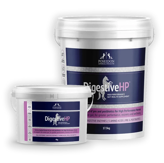 DigestiveHP