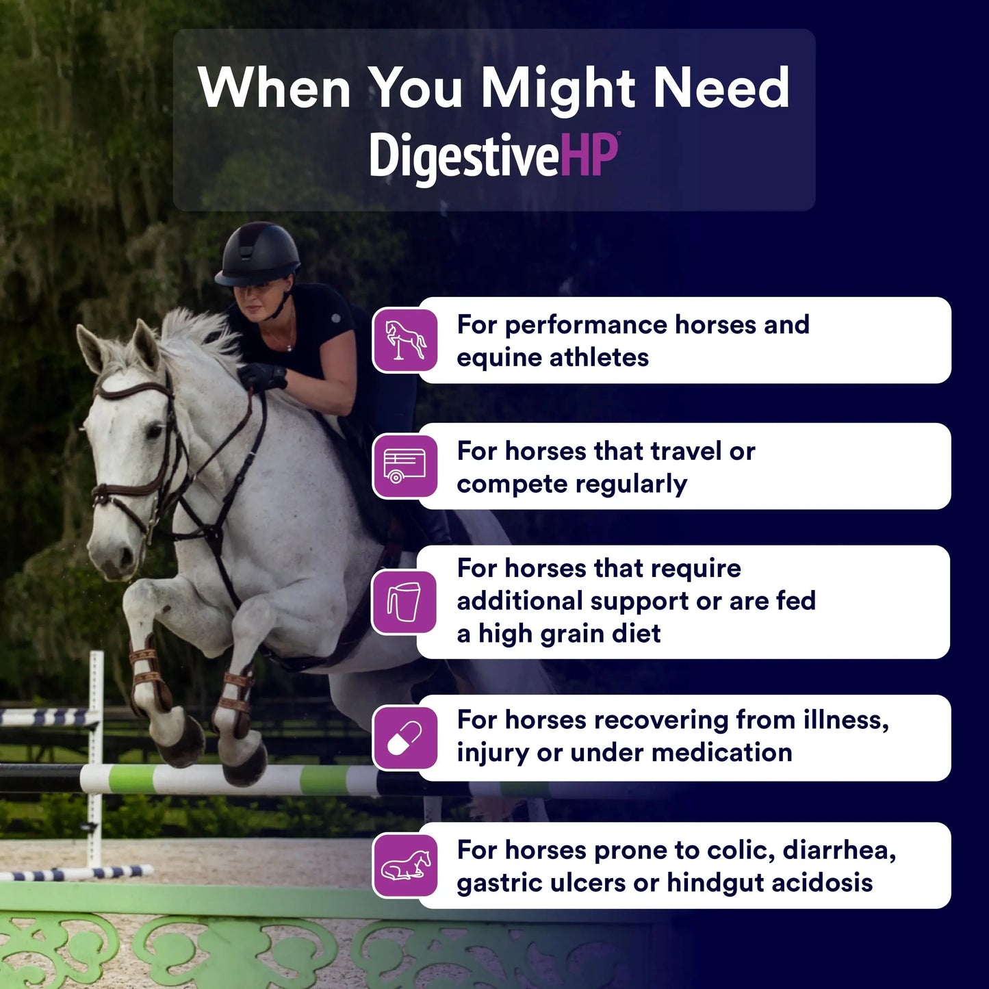 DigestiveHP