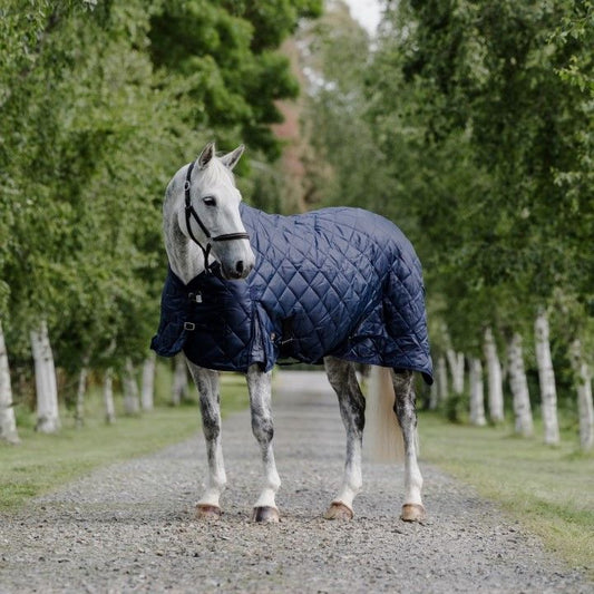 Cavallino Stable Rug 220gm